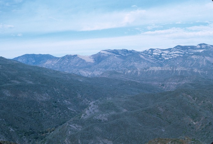 Sespe1-1975