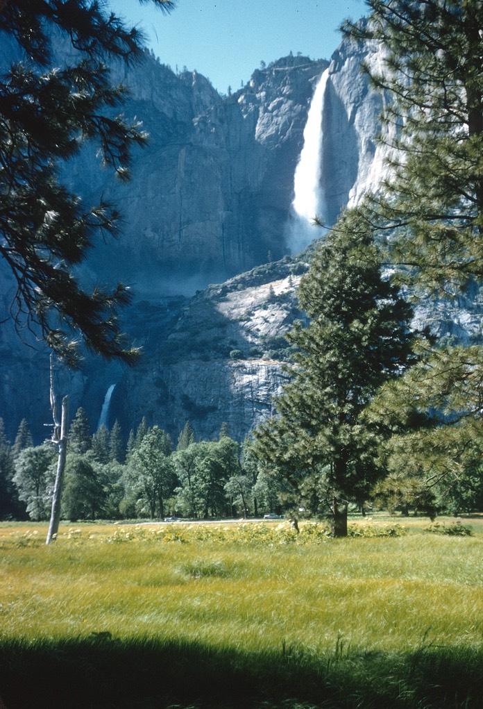Yosemite1-June1956
