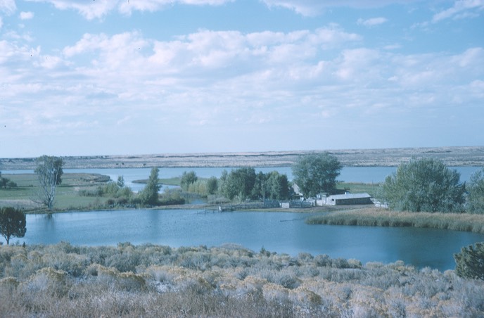 MinFenstermakers1964