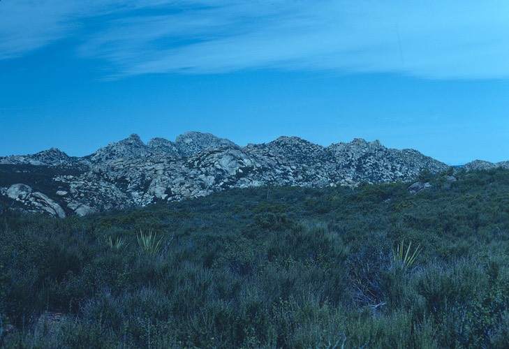 Baja-Juarez2-1979