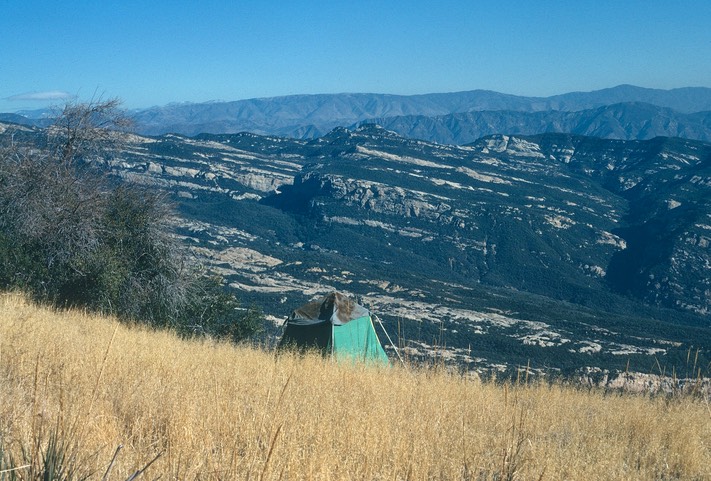 Tent