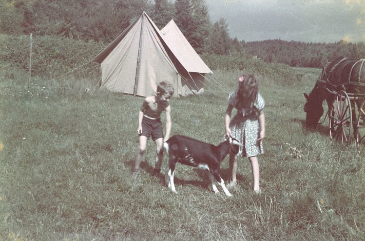 TheField1948