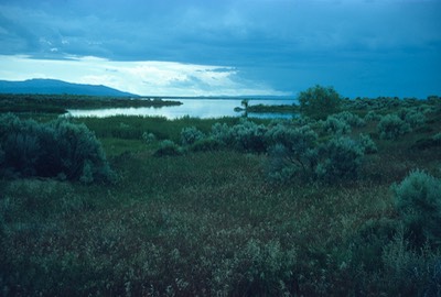 Minidoka1963