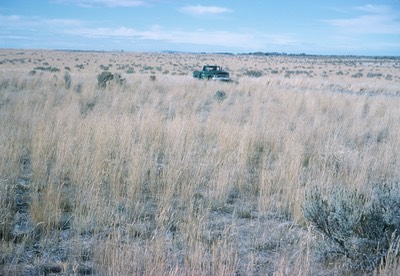 Minidoka2-1963